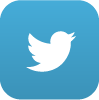 Twitter Icon